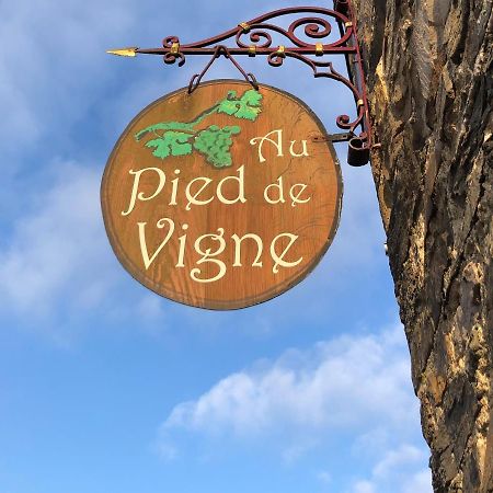 Appart Hotel Au Pied De Vigne 瑟穆瓦河畔夫雷斯 外观 照片