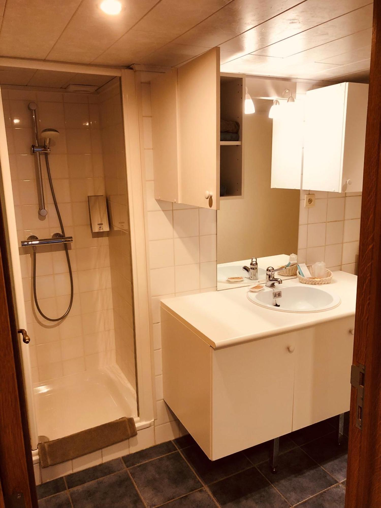 Appart Hotel Au Pied De Vigne 瑟穆瓦河畔夫雷斯 外观 照片